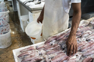 Lonja de pescado