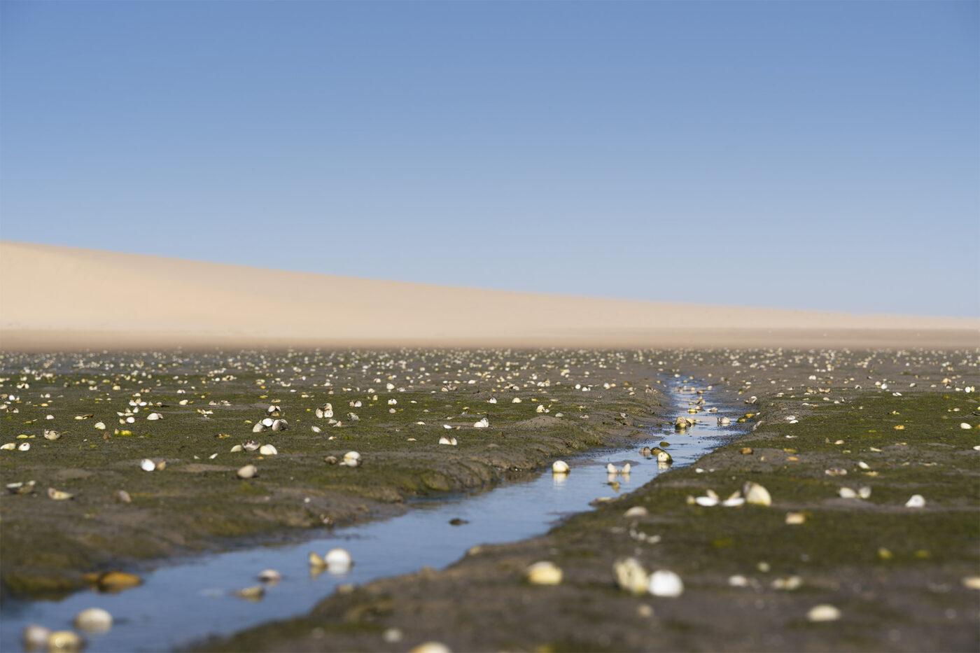 Marea baja en Dakhla, Sahara Occidental