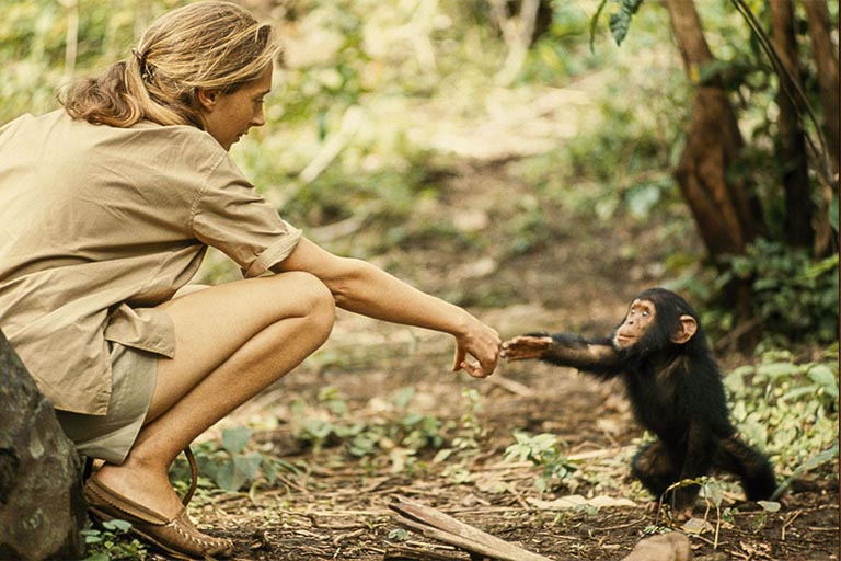 foto de jane goodall